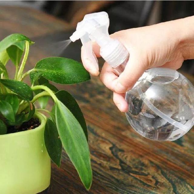 天热了，怎样给你的花花草草喷水呢？