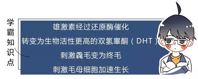 女生为什么会长胡子?女生的胡子会越刮越粗吗?