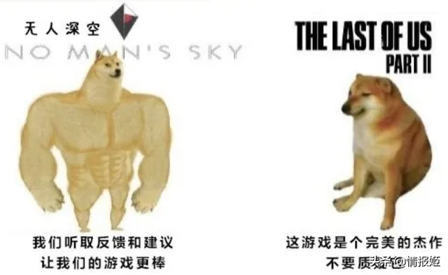 那只活在表情包里的柴犬doge，现在又进化了？