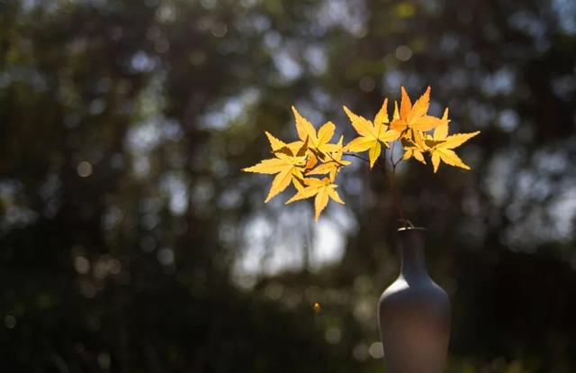 一个男人活在世上要过两大关,一个是金钱关,一个是女人关