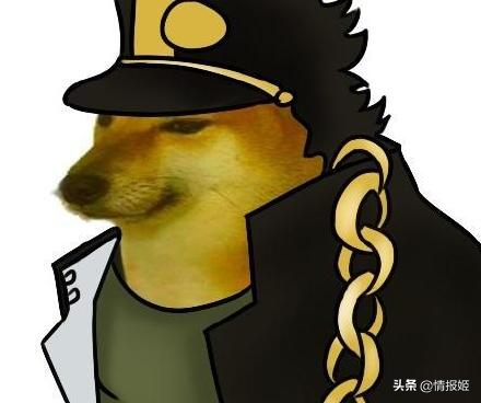 那只活在表情包里的柴犬doge，现在又进化了？