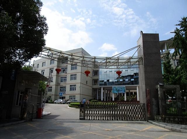 重庆“美女巨贪”被揪出：50岁仍爱年轻小伙，被抓后跪地求饶