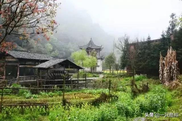 十年后,你留给孩子最好的礼物,不是金山银山,而是…