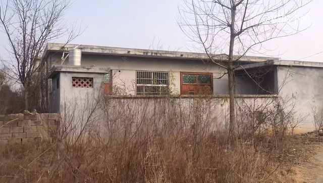 消失的夫妻：山东费县，四个年轻人当着丈夫的面折磨妻子8小时