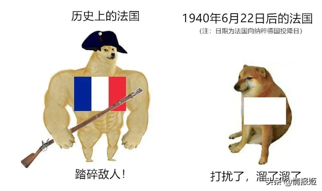 那只活在表情包里的柴犬doge，现在又进化了？