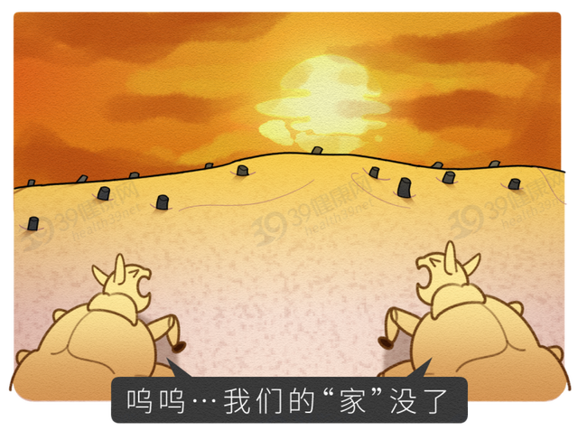 为何有人“下面”没有毛？女性私处毛发的3种用处，别羞于了解