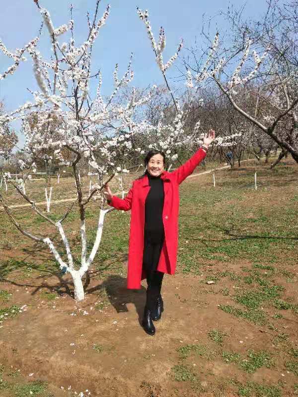 《东方古典美女秀》