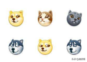 那只活在表情包里的柴犬doge，现在又进化了？