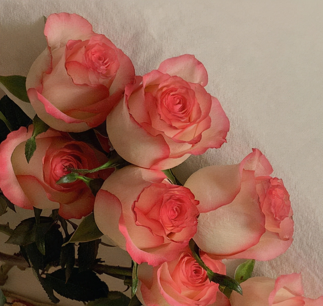 当女人对你有这个“举动”时，她是在向你告白：我真的很爱你