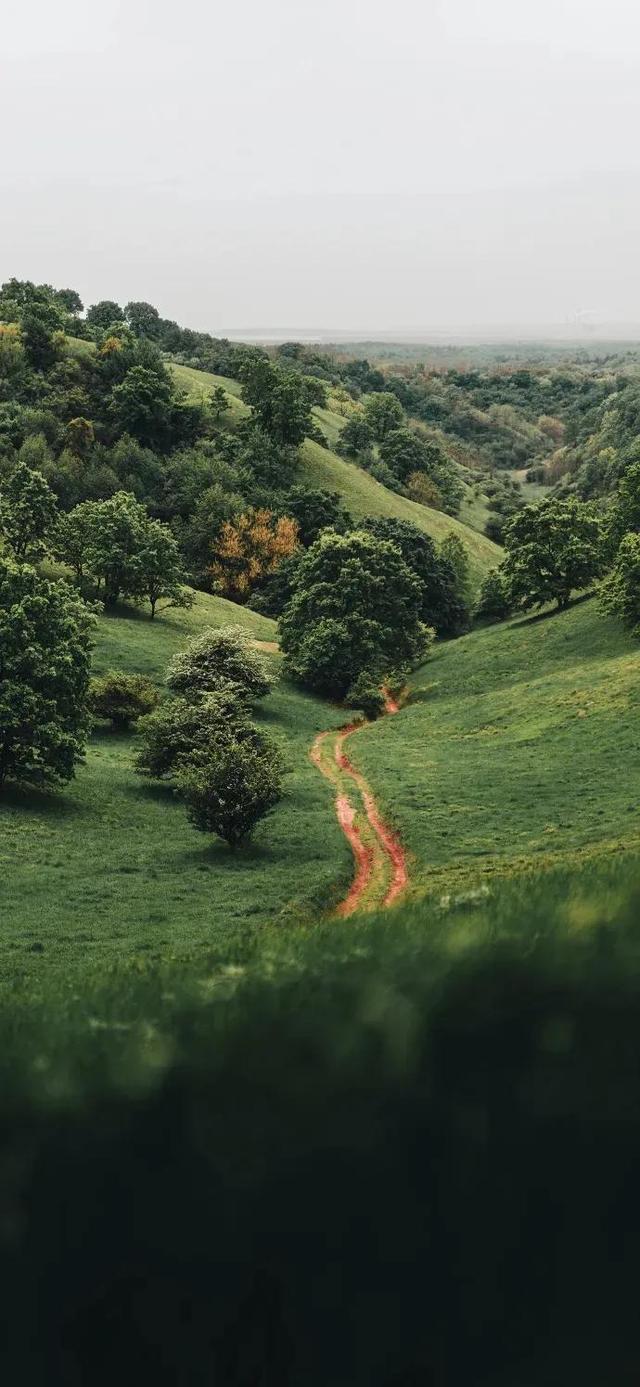 美女姐姐高清壁纸｜很有质感哦