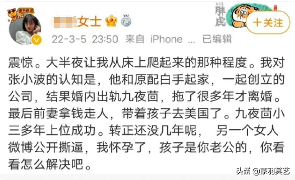 匆匆那年：美女作家九夜茴成名记，和她大亨老公张小波的花边往事