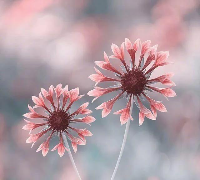 男子住41层酒店，女友光着身子拉开窗帘被清洁工看光，是谁之过？