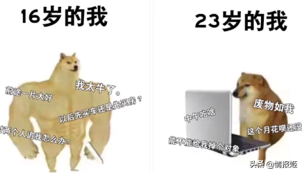 那只活在表情包里的柴犬doge，现在又进化了？