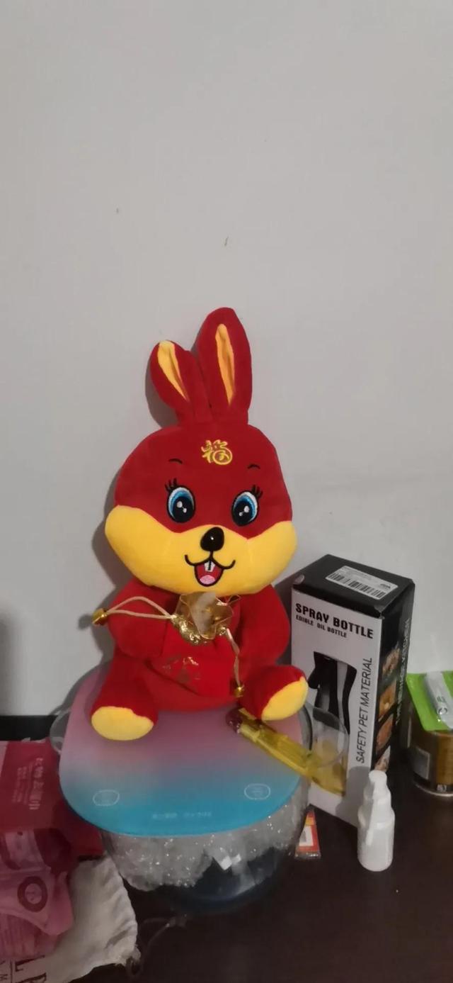 善良的女人