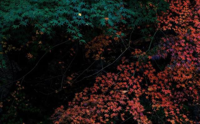 一个男人活在世上要过两大关,一个是金钱关,一个是女人关