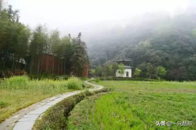 十年后,你留给孩子最好的礼物,不是金山银山,而是…