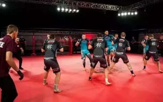 如果你没看过这些比赛，便没有资格痛述生命的无趣