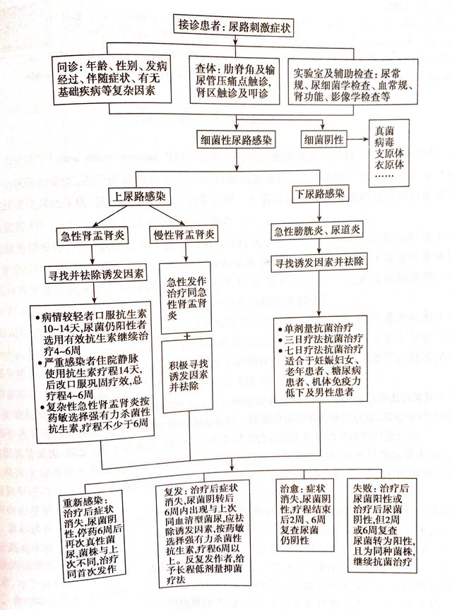 槽糕！尿频尿急尿不尽！尿路感染了怎么办？女性常会碰到的问题
