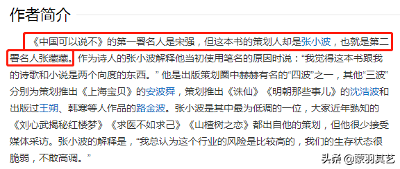 匆匆那年：美女作家九夜茴成名记，和她大亨老公张小波的花边往事
