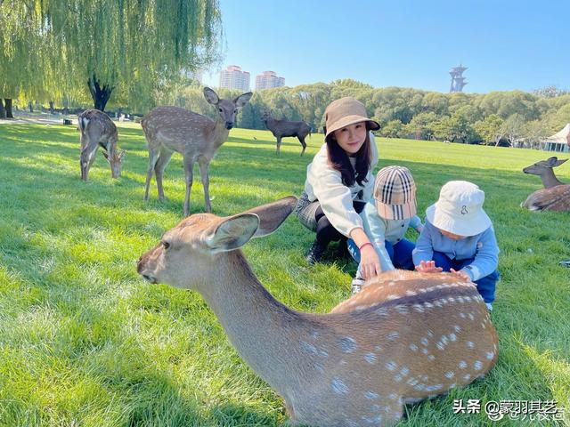 匆匆那年：美女作家九夜茴成名记，和她大亨老公张小波的花边往事