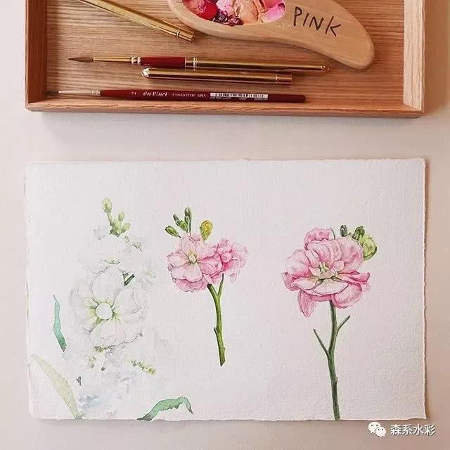 「森林系女孩」小清新水彩插画，带你走进自然的生活