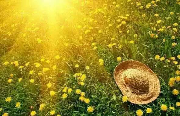 男子住41层酒店，女友光着身子拉开窗帘被清洁工看光，是谁之过？