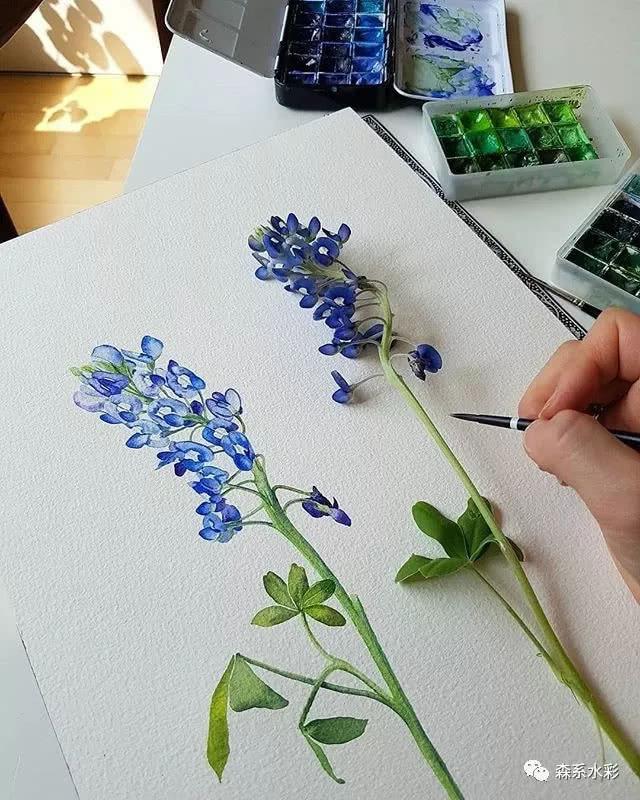 「森林系女孩」小清新水彩插画，带你走进自然的生活