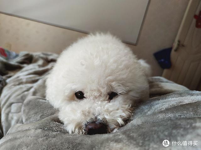不爱小米手机 爱逛米家的米BOY 告诉你小米10值不值得买