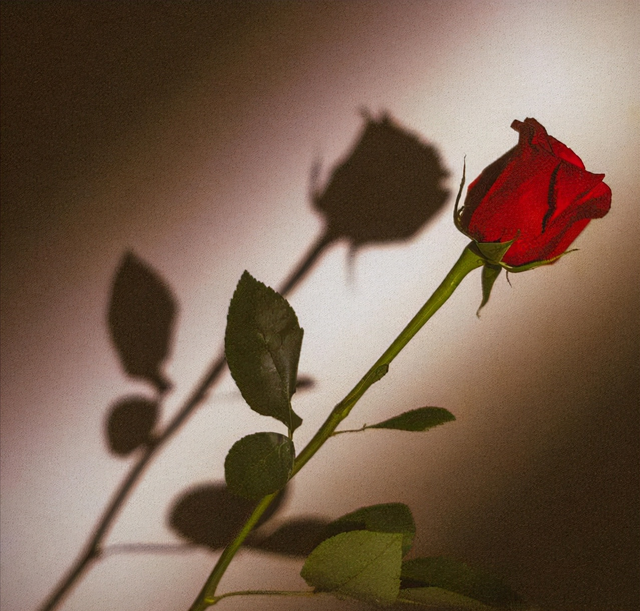 当女人对你有这个“举动”时，她是在向你告白：我真的很爱你