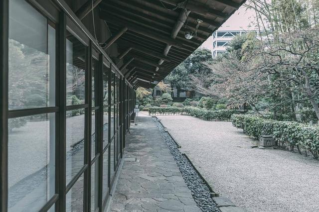 平时一本正经，但搞笑起来却不含糊的狮子女，古灵精怪惹人爱