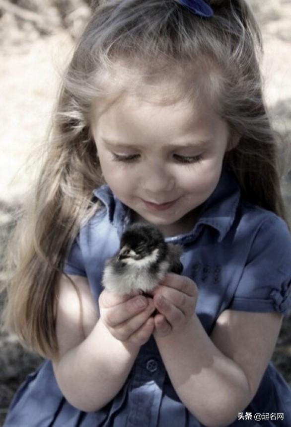 吉祥又富贵的女孩名字,顺口好听亦不失文雅