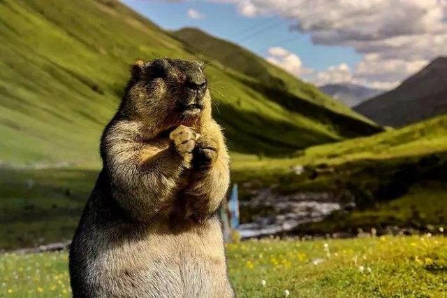 丹巴——珍藏着美人谷和中国最美乡村，被誉为千碉之国，拥有四最