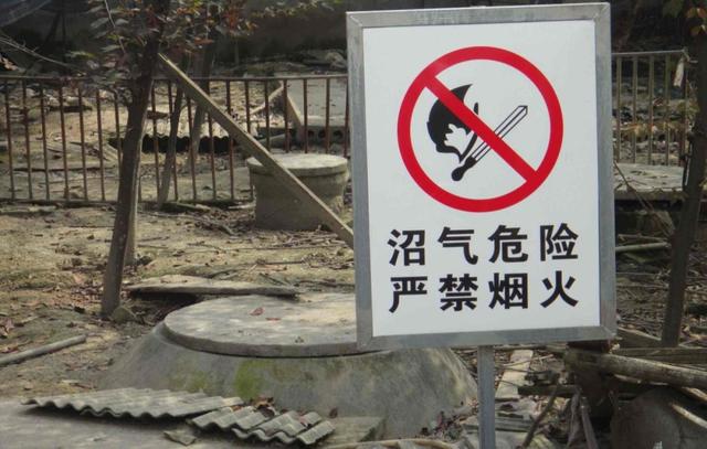 熊孩子｜一次离奇的爆炸，一次腾空转体180°的坠地