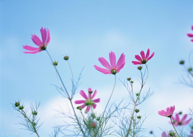 人到中年,看淡一切