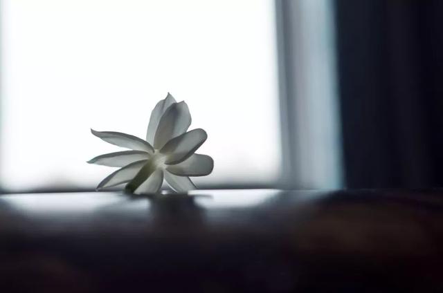 一个男人活在世上要过两大关,一个是金钱关,一个是女人关