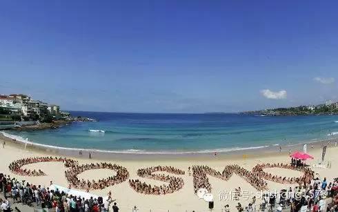 超赞！1010 名穿着比基尼泳装的美女