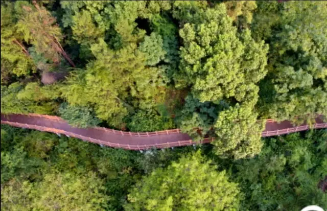 以“颜值和能力”直播卖货的女县委书记,升副厅