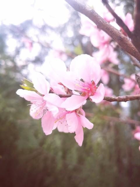 17年前，被遗弃在桥洞下的桃花姑娘，如今过得怎样？