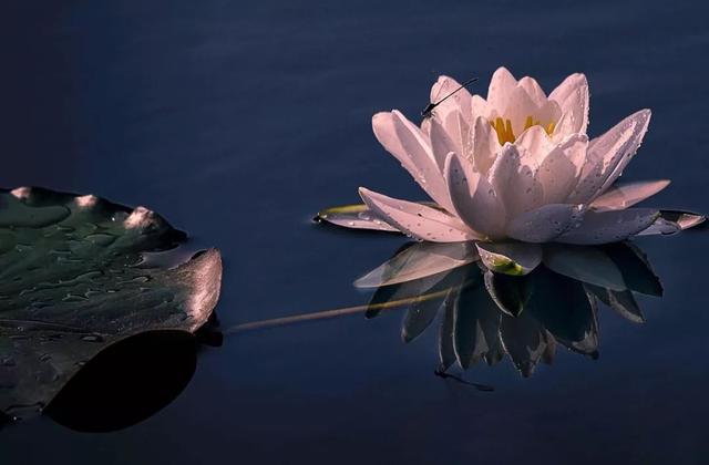 一个男人活在世上要过两大关,一个是金钱关,一个是女人关