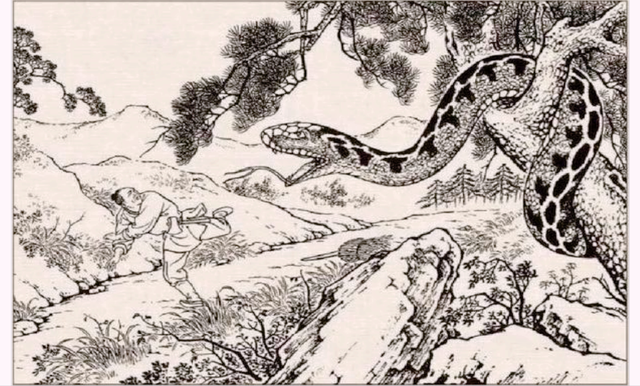 民间故事：女子每晚做梦被蛇缠绕，到尼姑庵求解，老尼：姻缘动了