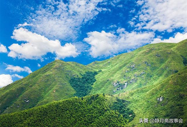 民间故事：屠户上门收猪，玷污养猪美妇，道士：她另有所图