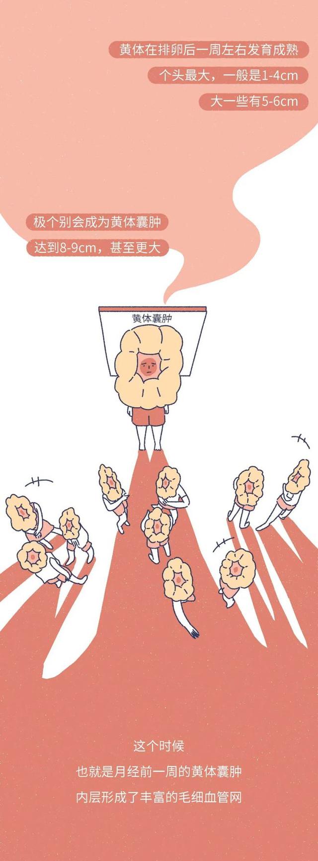 「黄体破裂」有多“可怕”？漫画：其痛苦程度，或许让人难以忍受