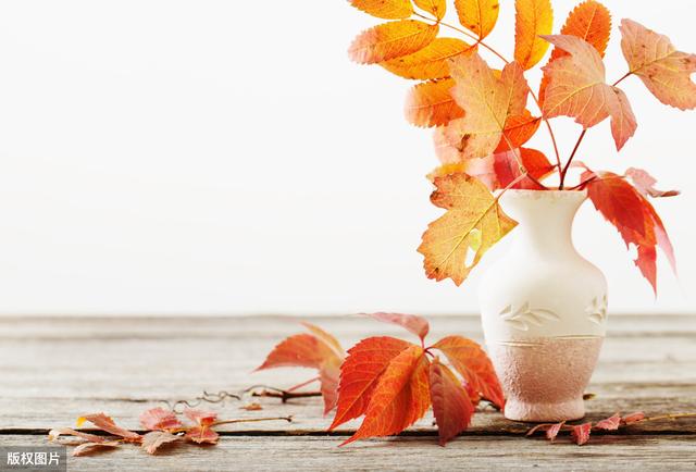 生活表面平静如水，实际暗涌不断，遇到极品的上司又能怎么办？