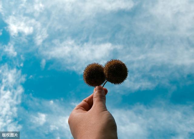 生活表面平静如水，实际暗涌不断，遇到极品的上司又能怎么办？