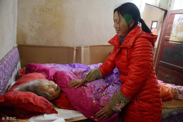 当家的女人(情感故事)