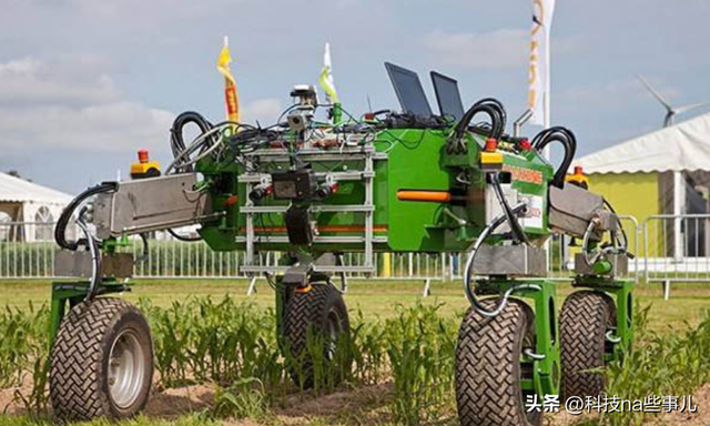 非洲人连饭都吃不饱,为啥不种水稻玉米,反而想着种芝麻?