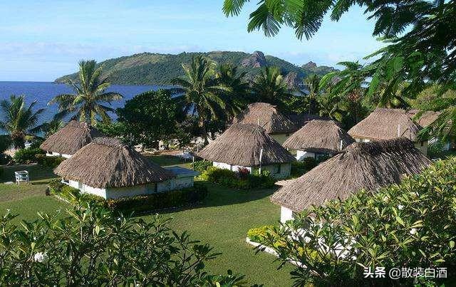 汤加能娶几个老婆?你想知道的20个汤加的冷知识,走进真实的汤加