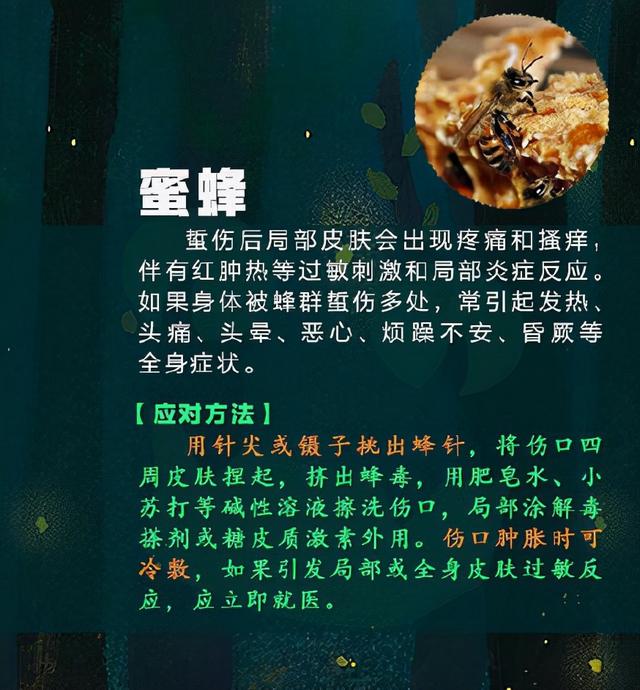 9岁女孩被蜘蛛咬伤随后一幕吓坏家长！春天，这些昆虫也要小心