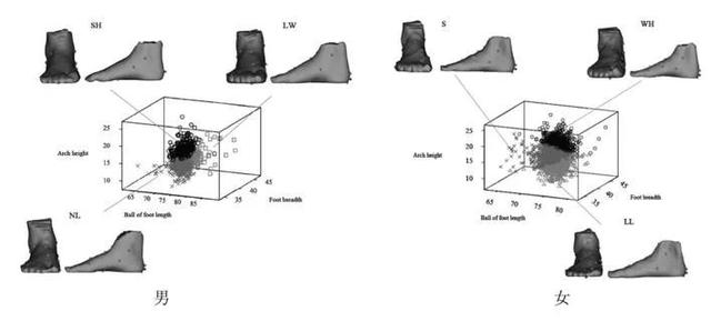 「提醒」罗马脚、希腊脚…连自己的脚都不了解，怪不得不舒服