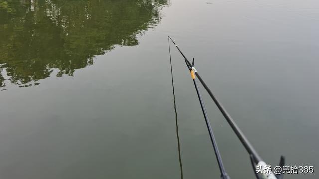 钓鱼也疯狂!女子第一次垂钓遭遇奇葩经历,网友:拍段子也信?